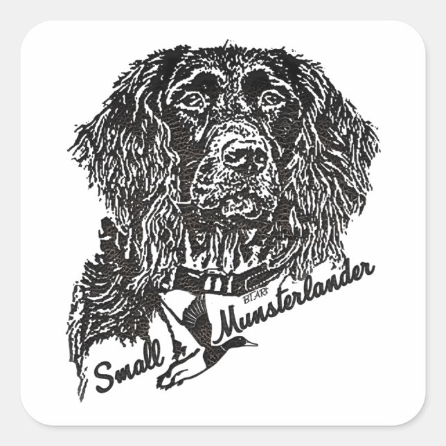 Sticker Carré Petit Munsterlander (logo) (Devant)