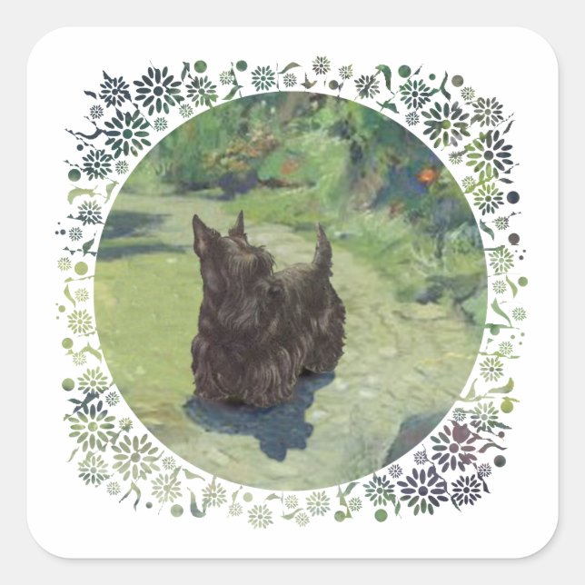 Sticker Carré Petit Scottie dans le jardin (Devant)