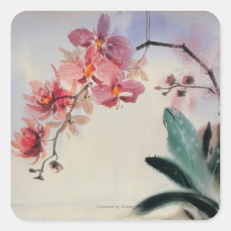 Sticker Carré Phalaenopsis