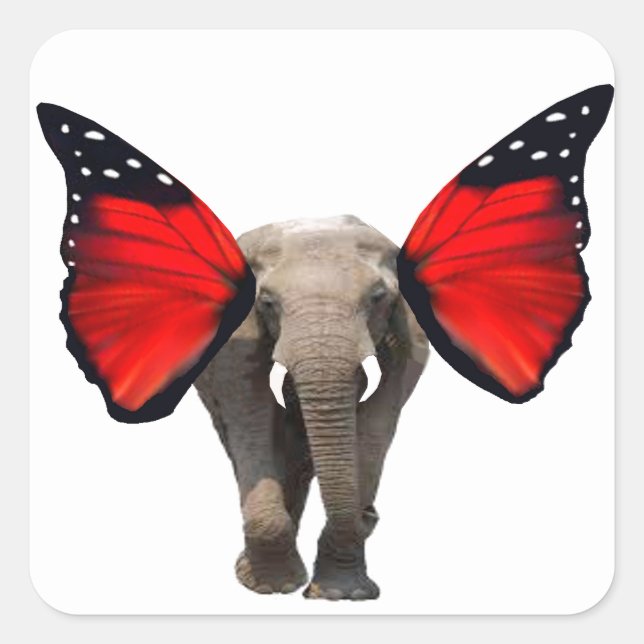 Sticker Carré Phoques d'enveloppe d'éléphants volants (Devant)