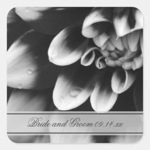 Sticker Carré Phoques Mariage noir et blanc dahlia