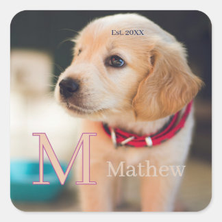 Sticker Carré photo de chien familier monogramme nom année date