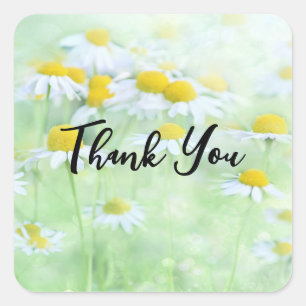Sticker Carré Photo de Pretty Daisies dans un Merci de campagne