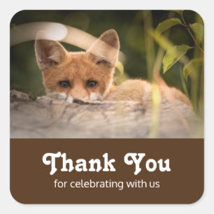 Sticker Carré Photo d'un mignon petit Merci de renard orange