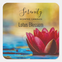 Photo d'une fleur de Lotus dans une bougie d'étang