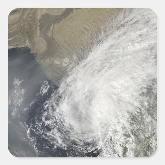 Sticker Carré Phyan tempête tropicale (Devant)