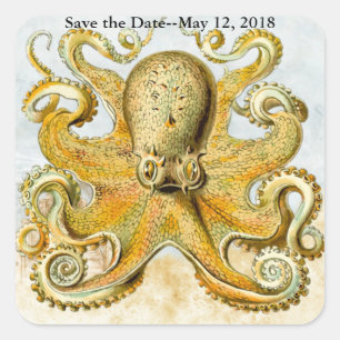 Sticker Carré Pieuvre marine Kraken Squid Enregistrer la date