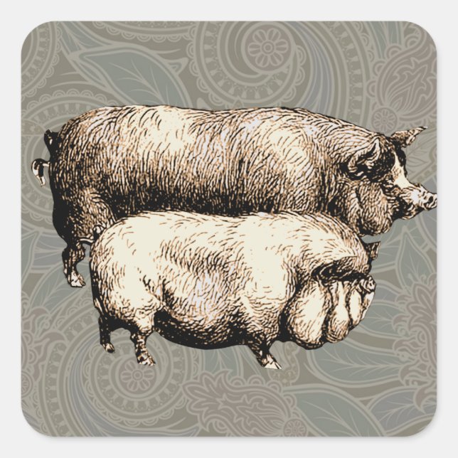 Sticker Carré Pig Farm Pays Antique Illustration Art (Devant)