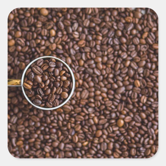 Sticker Carré Pile de haricots de café avec la coupe de café ple (Devant)