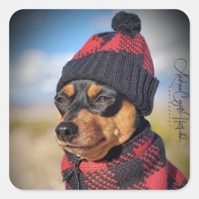 Sticker Carré Pinceau d'hiver (Devant)