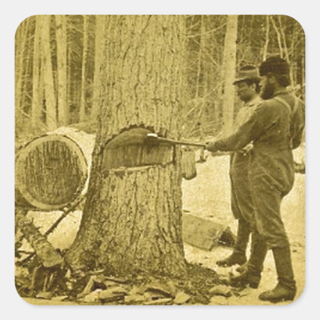 Sticker Carré Pineries of Michigan Goodridge Brothers Saginaw MI (Devant)