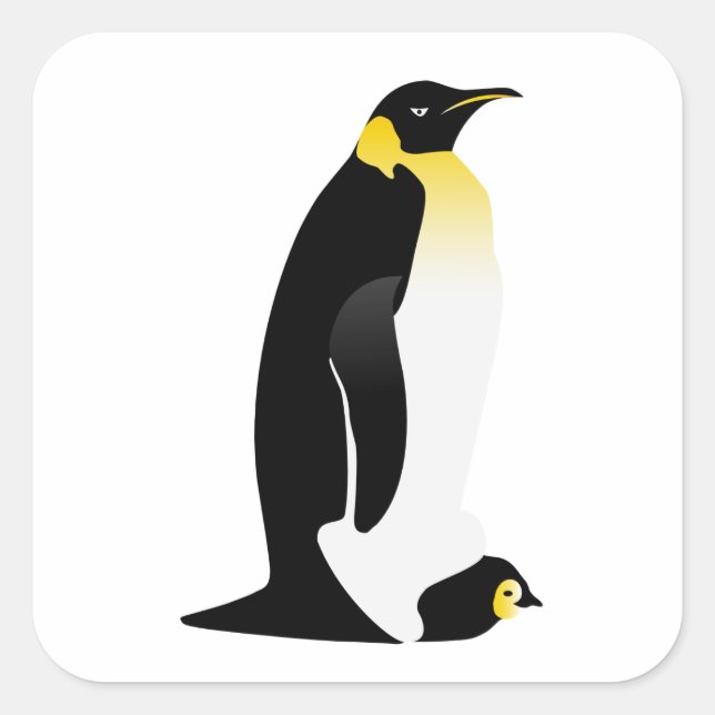 Sticker Carré Pingouin avec son bébé (Devant)