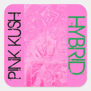 STICKER CARRÉ PINK KUSH HYBRID