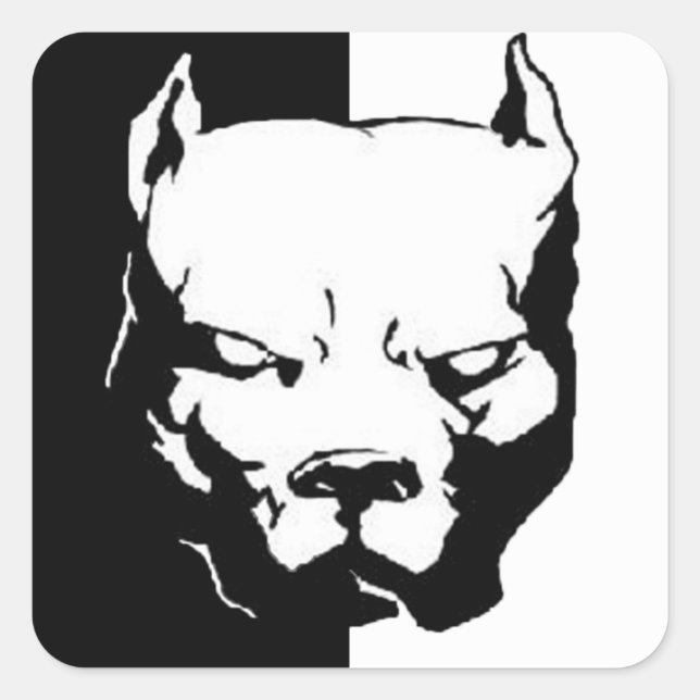 Sticker Carré Pitbull (Devant)