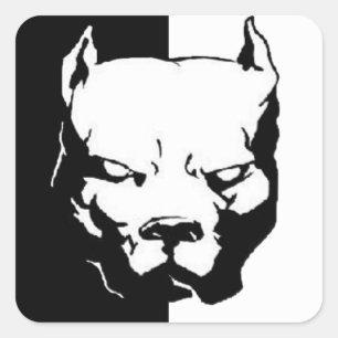 Sticker Carré Pitbull