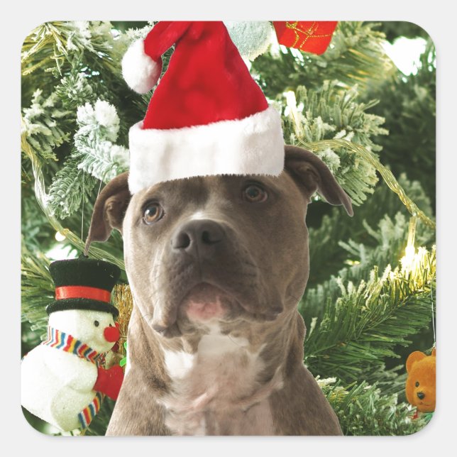 Sticker Carré Pitbull Chien Arbre de Noël Ornements Snowman (Devant)