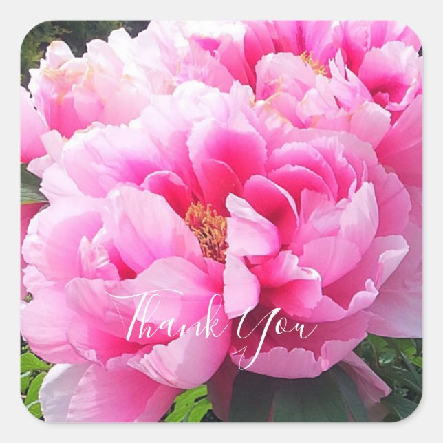 Sticker Carré Pivoines roses (Devant)
