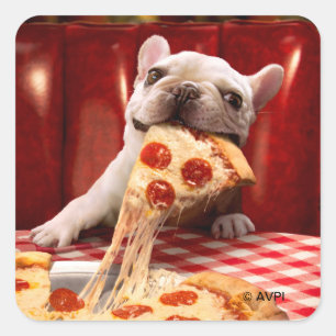 Sticker Carré Pizza Slice mangeur de chien