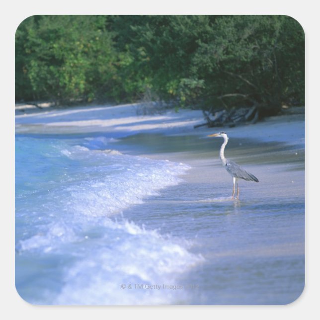 Sticker Carré Plage 2 (Devant)