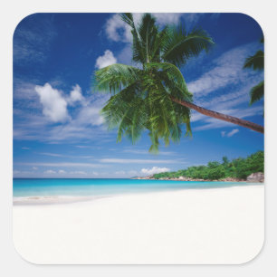 Sticker Carré Plage tropicale   Seychelles