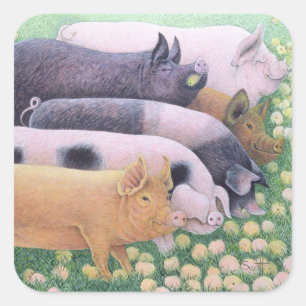 Sticker Carré Plaisir pur