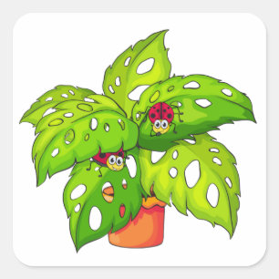 Sticker Carré Plante avec Lady Bugs