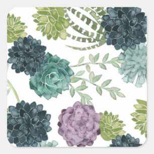 Sticker Carré Plante Happiness Collection Motif Succulent
