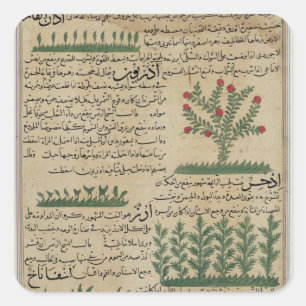 Sticker Carré Plantes botaniques, illustration de '