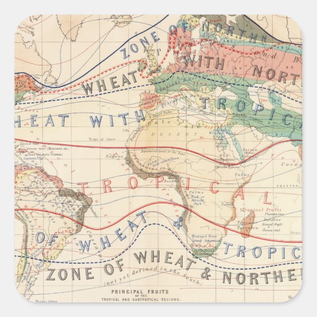 Sticker Carré Plantes de distribution (Devant)