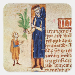 Sticker Carré Plantes médicinales