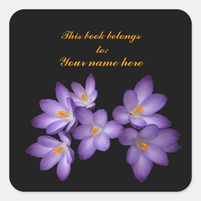 Sticker Carré Plaque de crocus pourpre (Devant)