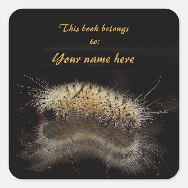 Sticker Carré Plaque d'emballage Hickory Tussock Caterpillar (Devant)