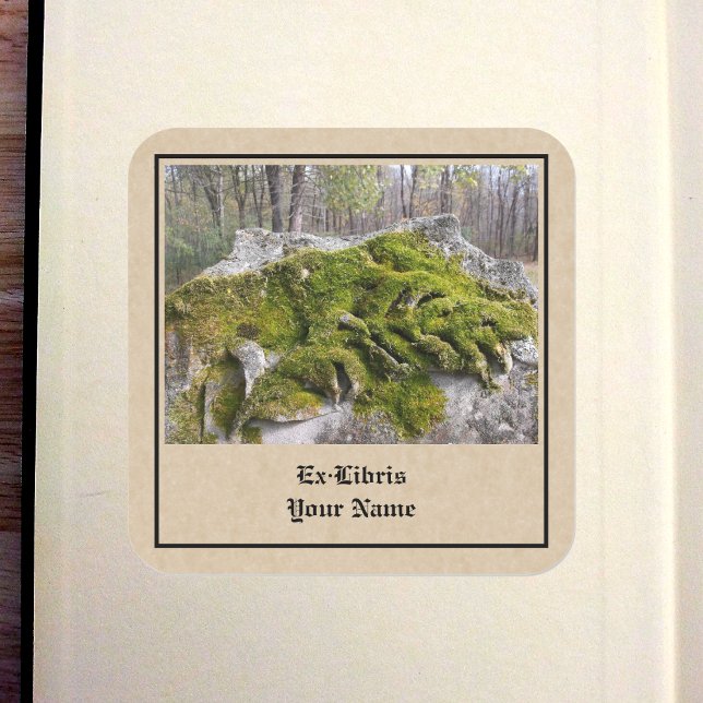 Sticker Carré Plaque Mossy Broken Headstone (Mossy Broken Headstone Bookplate in Book)