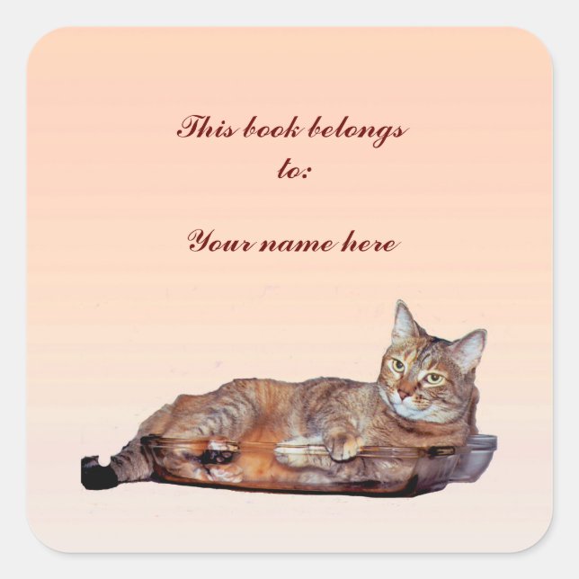 Sticker Carré Plaque tabby chat (Devant)