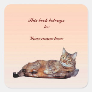 Sticker Carré Plaque tabby chat