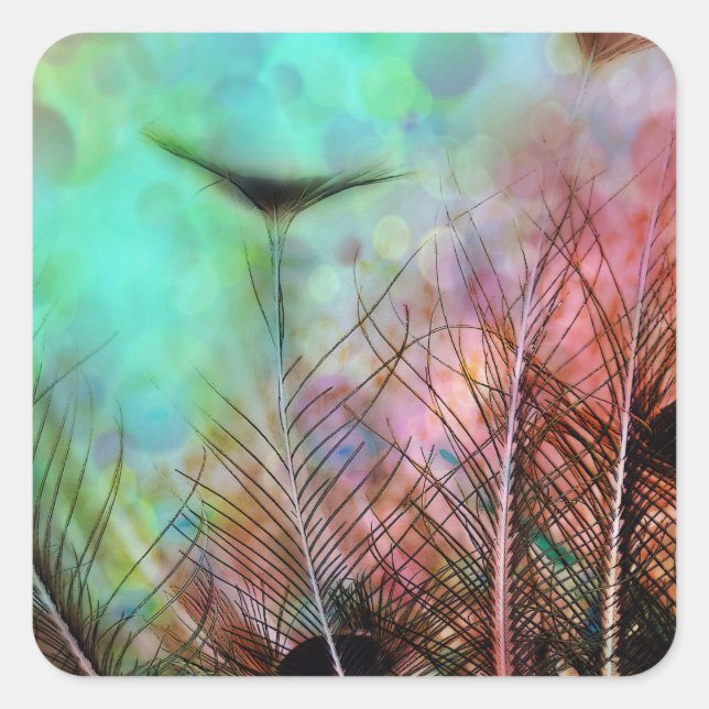 Sticker Carré Plumes Pastel Peacock (Devant)