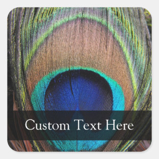 Sticker Carré Plumes Peacock personnalisées