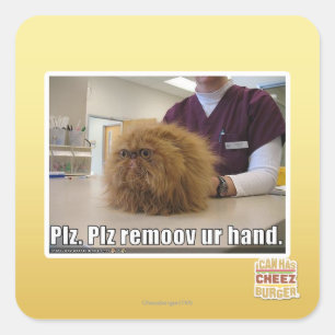 Sticker Carré Plz remoov votre main