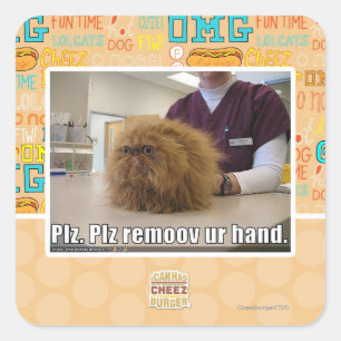 Sticker Carré Plz remoov votre main