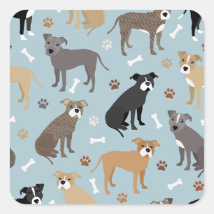 Sticker Carré Poches et os Pitbulles