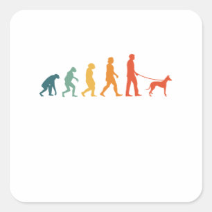 Sticker Carré Podenco Evolution Retro Ibizan Hound Vintage