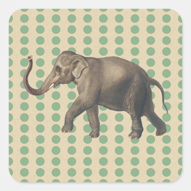 Sticker Carré Poids d'épices à feuilles de baie avec éléphant (Devant)