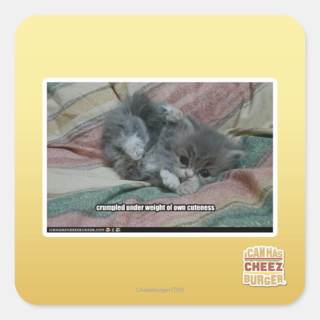 Sticker Carré Poids propre (Devant)