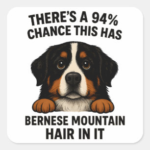 Sticker Carré Poils de chien de montagne bernois partout drôle