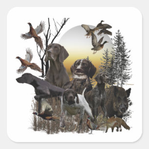 Sticker Carré Pointeur à poils courts allemand