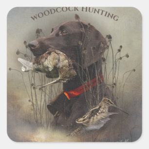 Sticker Carré Pointeurs allemands à poils courts