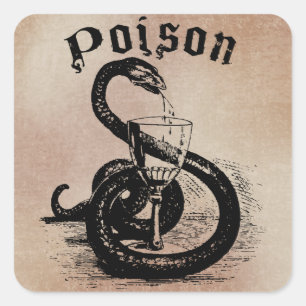 Sticker Carré Poison serpent Halloween gothique