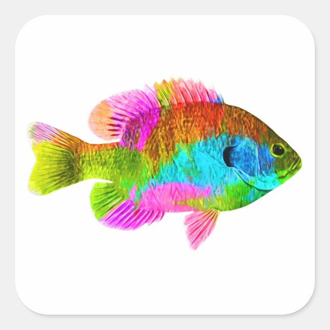 Sticker Carré Poisson Coloré (Devant)