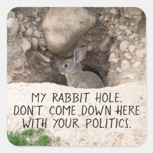 Sticker Carré Politique Rabbit Hole Bunny Photo Politique Humour