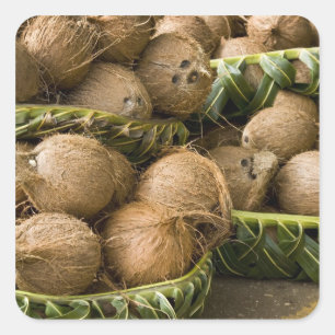 Sticker Carré Polynésie, Royaume des Tonga. Affichage des noix d